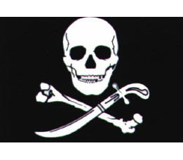 Piraten vlag 30X45